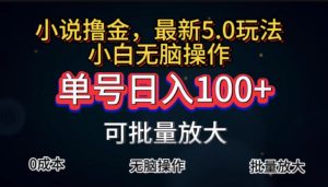 （11651期）全自动小说撸金，单号日入100+小白轻松上手，无脑操作-木子聊项目