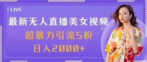 （11664期）最新无人直播美女视频，超暴力引流S粉日入2000+-木子聊项目