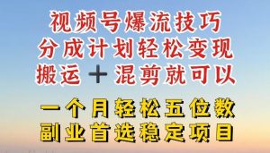 视频号爆流技巧，分成计划轻松变现，搬运 +混剪就可以，一个月轻松五位数稳定项目【揭秘】-木子聊项目