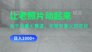 （11671期）让老照片动起来，一天变现1000+，各平台最火赛道，看完就会-木子聊项目