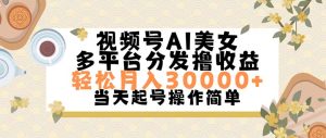 （11684期）视频号AI美女，轻松月入30000+,操作简单轻松上手-木子聊项目