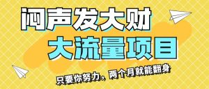 （11688期）闷声发大财，大流量项目，月收益过3万，只要你努力，两个月就能翻身-木子聊项目