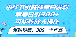 （11692期）小红书引高质量白领粉，单号日引300+，可放大操作，爆粉秘籍！30s一个作品-木子聊项目