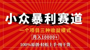 （11695期）视频号【中老年粉深信不疑】小众赛道 100%原创 手把手教学 新号3天收益…-木子聊项目