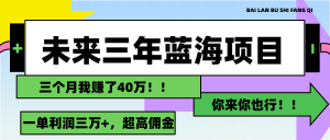 （11716期）未来三年，蓝海赛道，月入3万+-木子聊项目