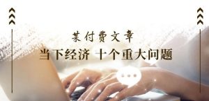 某付费文章《当下经济 十个重大问题》覆盖了大家关心的全部经济类话题-木子聊项目
