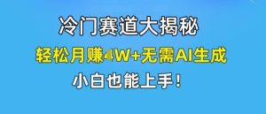 冷门赛道大揭秘,轻松月赚1W+无需AI生成,小白也能上手【揭秘】-木子聊项目