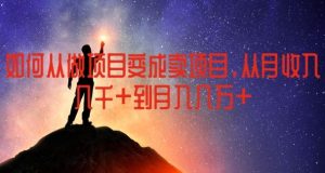 如何从做项目变成卖项目，从月收入几千到月入几万【揭秘】-木子聊项目