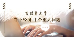 公众号付费文章《当下经济 十个重大问题》覆盖了大家关心的全部经济类话题-木子聊项目