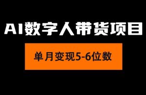 （11751期）2024年Ai数字人带货，小白就可以轻松上手，真正实现月入过万的项目-木子聊项目