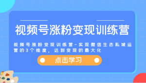 视频号涨粉变现训练营-实现微信生态私域运营的3个维度,达到变现的最大化-木子聊项目