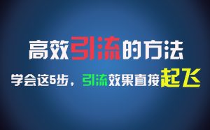 高效引流的方法，可以帮助你日引300+创业粉，一年轻松收入30万，比打工强太多！-木子聊项目