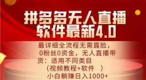(11891期)拼多多无人直播软件最新4.0,最详细全流程无需露脸,0粉丝0资金, 小白…-木子聊项目