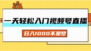 （11906期）一天入门视频号直播带货，日入1000不是梦-木子聊项目