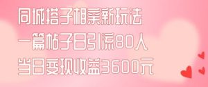 同城搭子相亲新玩法一篇帖子引流80人当日变现3600元(项目教程+实操教程)【揭秘】-木子聊项目