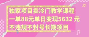 独家项目卖冷门教学课程一单88元单日变现5632元违规不封号长期项目【揭秘】-木子聊项目