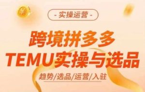 跨境拼多多TEMU实操与选品，多多temu跨境选品运营实操-木子聊项目