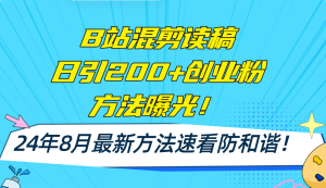 (11975期)B站混剪读稿日引200+创业粉方法4.0曝光,24年8月最新方法Ai一键操作 速…-木子聊项目
