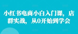 小红书电商小白入门课,店群实战,从0开始到学会-木子聊项目
