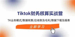 Tiktok财务核算实战营：TK业务模式/数据核算/应收款及毛利/数据下载及报表-木子聊项目
