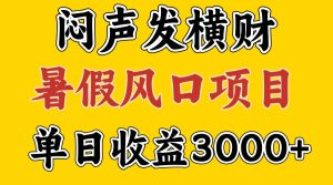 30天赚了7.5W 暑假风口项目，比较好学，2天左右上手-木子聊项目