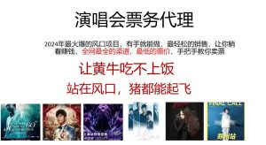 （12011期）2024演唱会低票务代理，新手可上手，手把手教你卖票，日入2000+，会玩…-木子聊项目