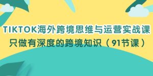 (12010期)TIKTOK海外跨境思维与运营实战课,只做有深度的跨境知识(91节课)-木子聊项目