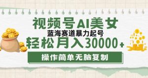 （12087期）视频号AI美女跳舞，轻松月入30000+，蓝海赛道，流量池巨大，起号猛，无…-木子聊项目