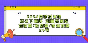 （12097期）2024钩子·引流课：钩子下得好 流量不再愁，定位篇/标签篇/破播放篇/24节-木子聊项目