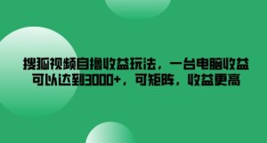 搜狐视频自撸收益玩法，一台电脑收益可以达到3k+，可矩阵，收益更高-木子聊项目