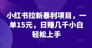 小红书拉新暴利项目,一单15元,日赚几千小白轻松上手-木子聊项目