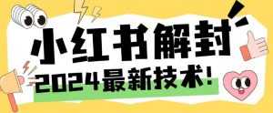 2024最新小红书账号封禁解封方法，无限释放手机号-木子聊项目