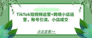 TikTok短视频运营+跨境小店运营，账号引流、小店成交-木子聊项目