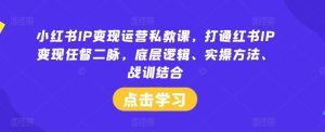 小红书IP变现运营私教课，打通红书IP变现任督二脉，底层逻辑、实操方法、战训结合-木子聊项目