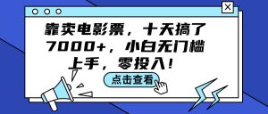 (12161期)靠卖电影票,十天搞了7000+,小白无门槛上手,零投入!-木子聊项目