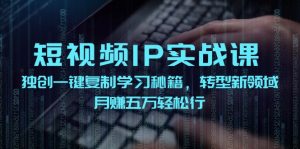 (12193期)短视频 IP实战课,独创一键复制学习秘籍,转战新领域,月赚五万轻松行-木子聊项目