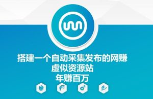 搭建一个自动采集发布的网创虚似资源站年赚百W【揭秘】-木子聊项目