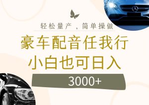 （12206期）不为人知的暴力小项目，豪车配音，日入3000+-木子聊项目