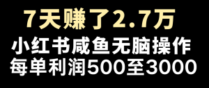 七天赚了2.7万！每单利润最少500+，轻松月入5万+小白有手就行-木子聊项目