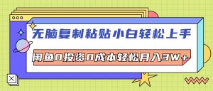 (12258期)无脑复制粘贴,小白轻松上手,电商0投资0成本轻松月入3W+-木子聊项目