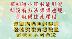 小红书靠复制粘贴一周突破万级流量池干货，以减肥为例，每天稳定引流变现四位数【揭秘】-木子聊项目