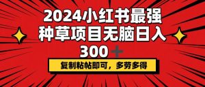 （12336期）2024小红书最强种草项目，无脑日入300+，复制粘帖即可，多劳多得-木子聊项目
