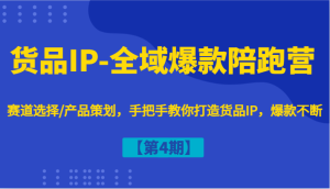 货品IP-全域爆款陪跑营【第4期】赛道选择/产品策划，手把手教你打造货品IP，爆款不断-木子聊项目