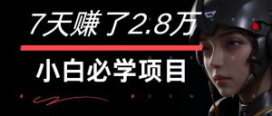 7天赚了2.8万！每单利润最少500+，轻松月入7万+小白有手就行-木子聊项目