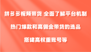 拼多多视频带货 全面了解平台机制、热门爆款和高佣金带货的选品,搭建高权重账号等-木子聊项目
