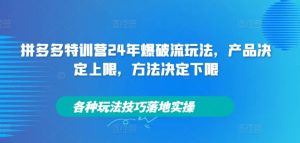 拼多多特训营24年爆破流玩法，产品决定上限，方法决定下限，各种玩法技巧落地实操-木子聊项目