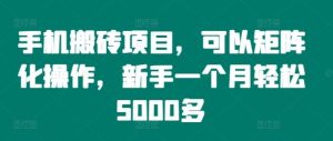 手机搬砖项目，可以矩阵化操作，新手一个月轻松5000多-木子聊项目