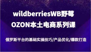 wildberriesWB野莓/OZON本土电商系列课，俄罗斯平台的基础实操技巧/产品优化/爆款打造-木子聊项目