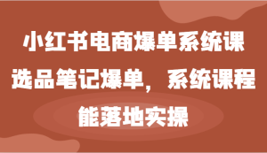 小红书电商爆单系统课-选品笔记爆单,系统课程,能落地实操-木子聊项目