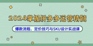 2024掌握拼多多运营精髓：爆款流程、定价技巧与SKU设计实战课-木子聊项目